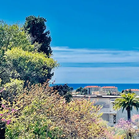 Cimiez Apercue * Ницца